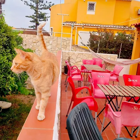 Solemcabana Social Club Appartement *