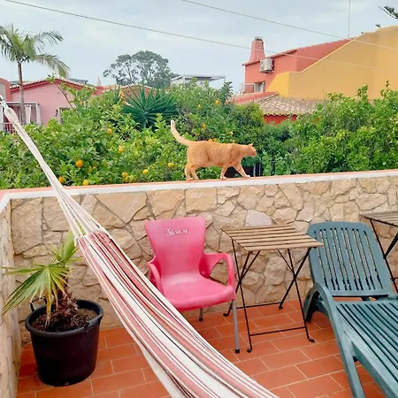 Solemcabana Social Club