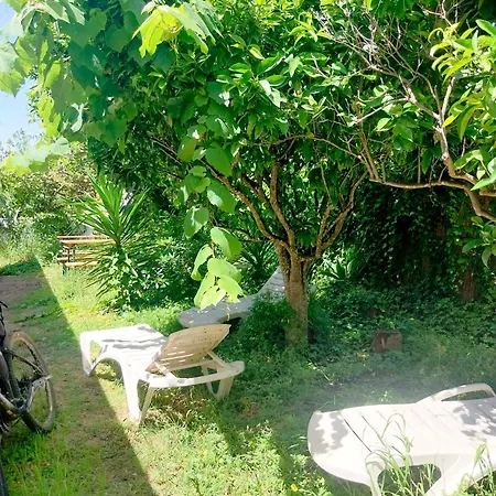 Solemcabana Social Club * Лагуш